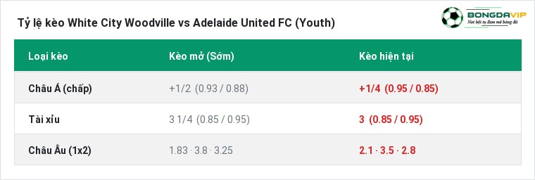 Tỷ lệ kèo White City Woodville vs Adelaide United FC (Youth) tại BongdaVIP