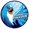 Logo Adamson Falcons
