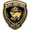 Logo APD United