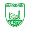 Logo Bangor Celtic
