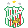 Logo Baraunas RN U20