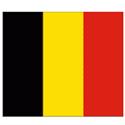 Logo Belgium VI