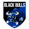 Logo Black Bulls