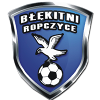 Logo Blekitni Ropczyce