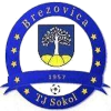 Logo Brezovica