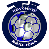 Logo Bridlicna
