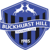 Logo Buckhurst Hill