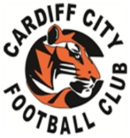 Logo Cardiff City (AUT)