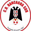 Logo CD Rancagua Sur