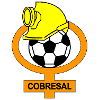 Logo Cobresal (W)