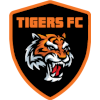 Logo Cooma Tigers