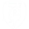Logo Craigavon City (W)