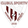 Logo CSM Fetesti