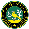 Logo Divina