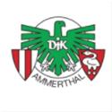 Logo DJK Ammerthal