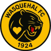 ES Wasquehal