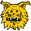 Logo FC Ilves U21