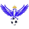 Logo FC Tbilisi 2025