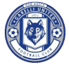 Logo Garelli United