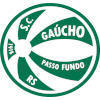 Logo Gaucho/RS