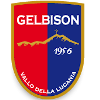 Logo Gelbison
