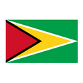 Logo Guyana (W) U20