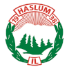 Logo Haslum U19