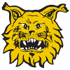 Logo Ilves U20