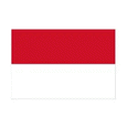 Logo Indonesia (W) U17