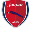 Logo Jaguar PE U20