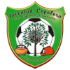 Logo Juventud Copalera