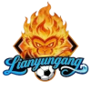 Logo Lianyungang Team