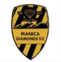 Logo Manica Diamond