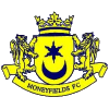 Logo Moneyfields