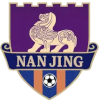 Logo Nanjing Team