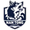 Logo Nantong Team