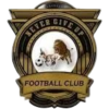 Logo Never Give Up Academy