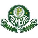 Logo Palmeira RN