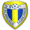 Logo Pescarusul Sarichioi