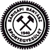 Logo Sarisapi Banyasz SE