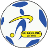 Logo SC Golling