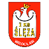 Logo Sleza Wroclaw (W)