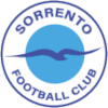 Logo Sorrento U23