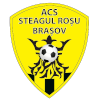 Logo SR Brasov U19