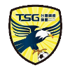 Logo Tainan City Green