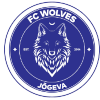 Logo Tallinna Wolves