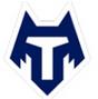 Logo Tambov