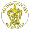 Logo Tea Tree Gully City