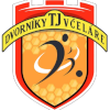 Logo TJ Dvorniky - Vcelare