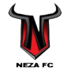 Logo Toros Neza